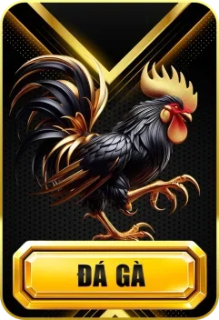 Đá gà 789win